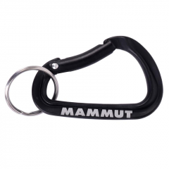 Karabína Mammut Mammut Mini Carabiner Classic Keylock S