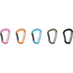 Mammut Mini Carabiner Workhorse Keylock L