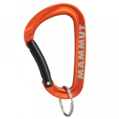 Mammut Mini Carabiner Workhorse Keylock L