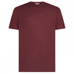 Icebreaker Merino 150 Tech Lite III SS Tee férfi póló