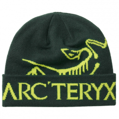 Arcteryx Bird Word Toque sapka