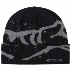 Arcteryx Grotto Toque sapka