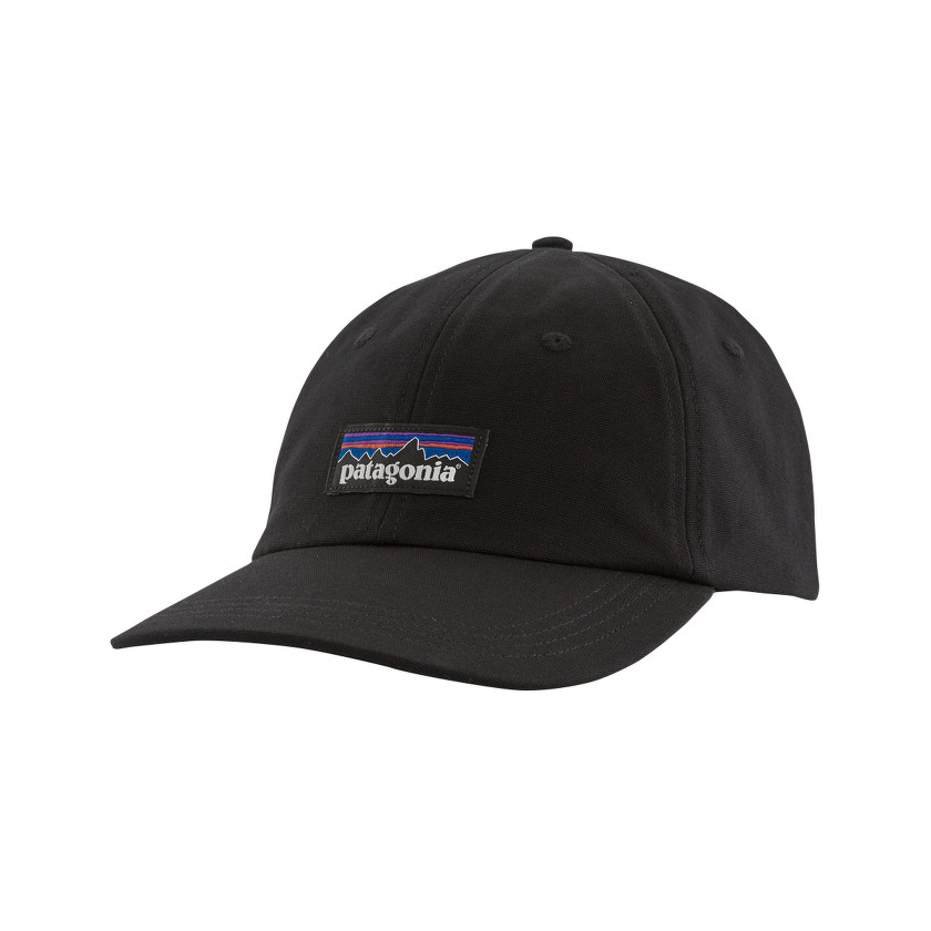 Patagonia P-6 Label Trad Cap sapka