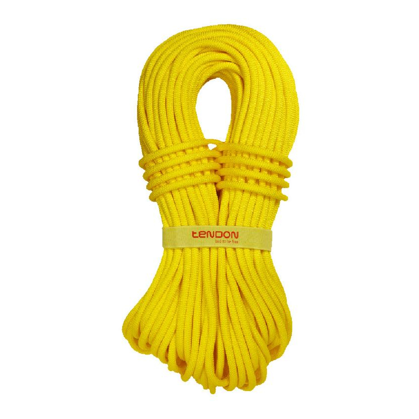 Tendon Ambition 9,8 - Standard kötél