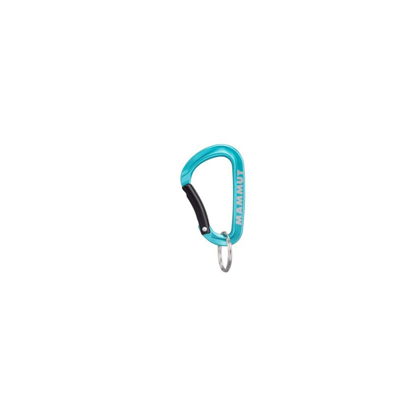Mammut Mini Carabiner Classic Keylock S