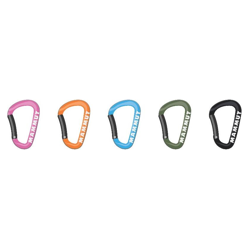 Mammut Mini Carabiner Workhorse Keylock L