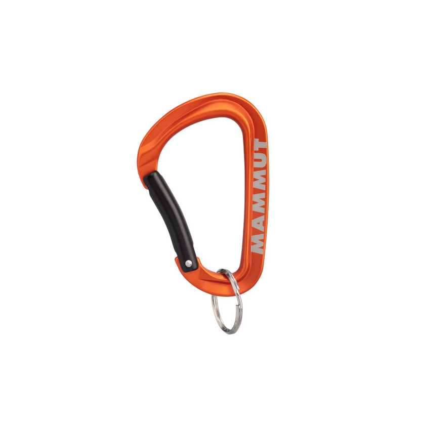 Mammut Mini Carabiner Workhorse Keylock L