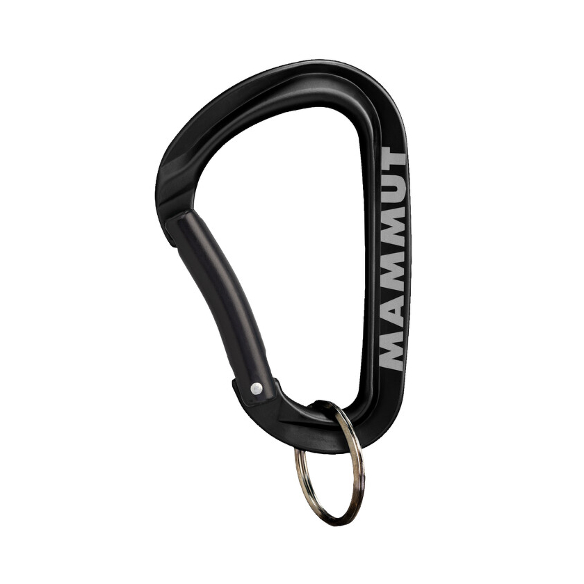 Mammut Mini Carabiner Workhorse Keylock L