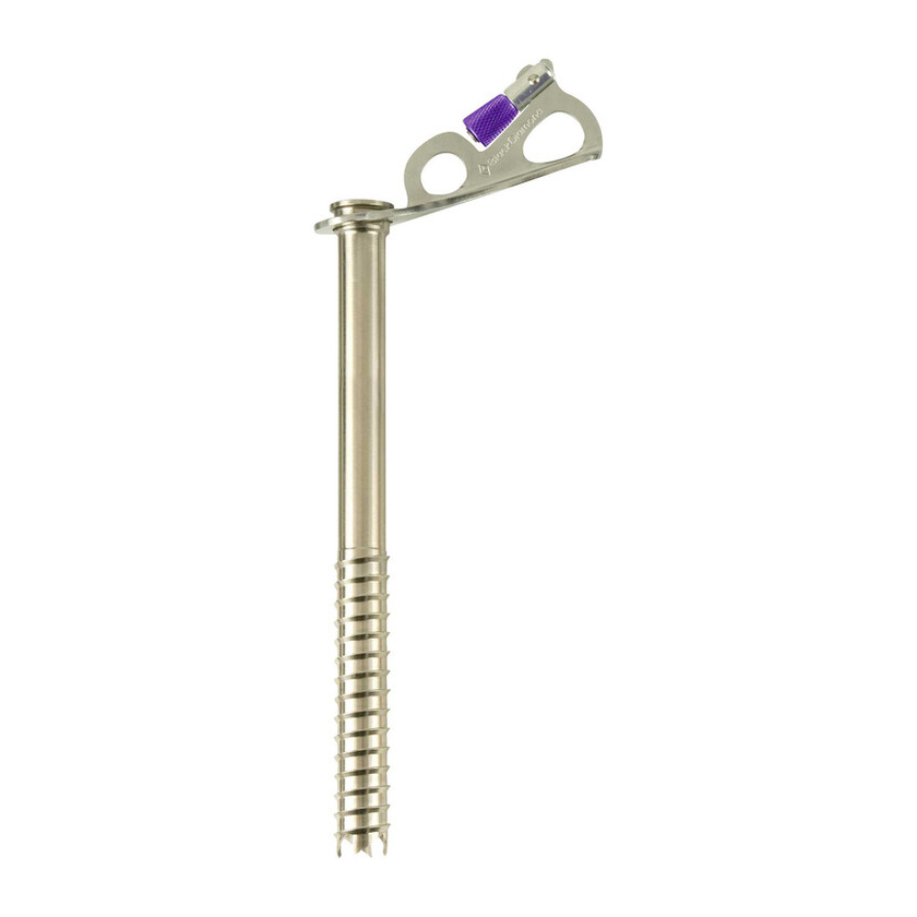 Black Diamond Express Ice Screw 22 cm jégcsavar