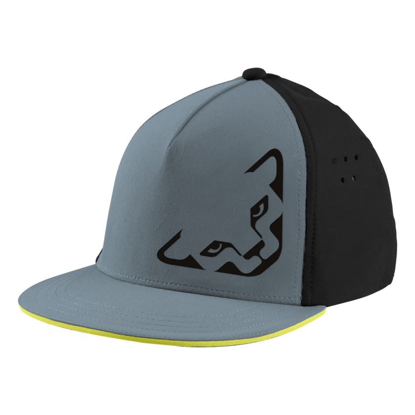 Dynafit Tech Trucker Cap sapka
