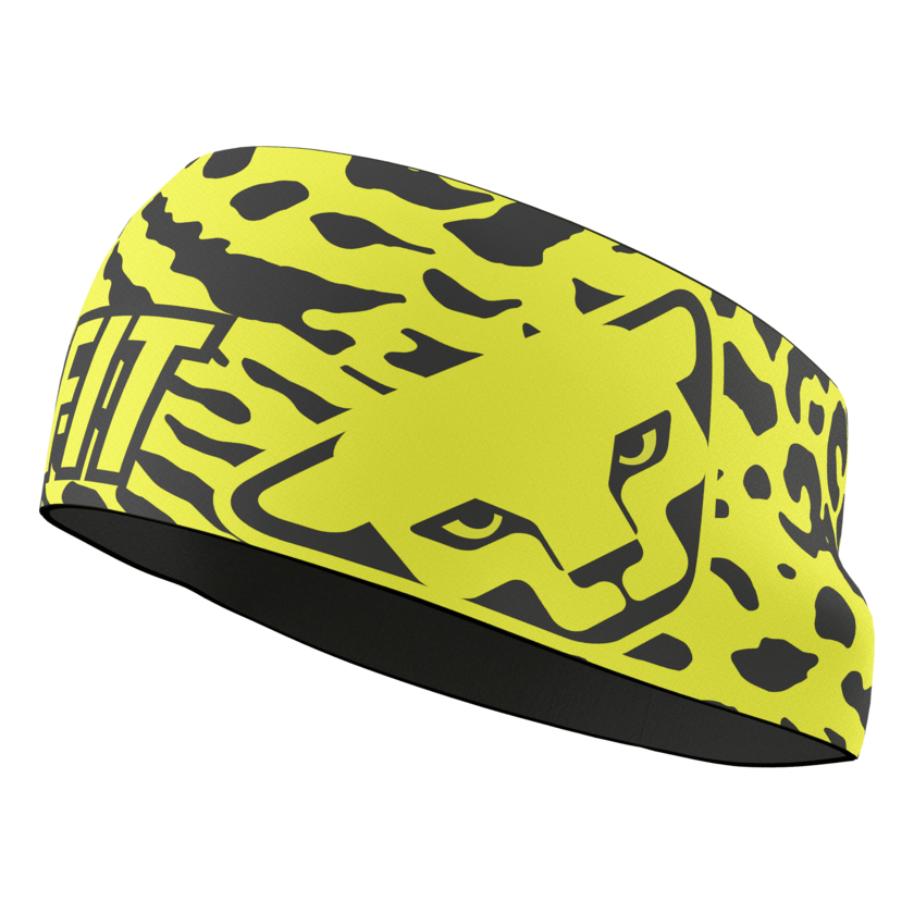 Dynafit Graphic Performance Fejpánt