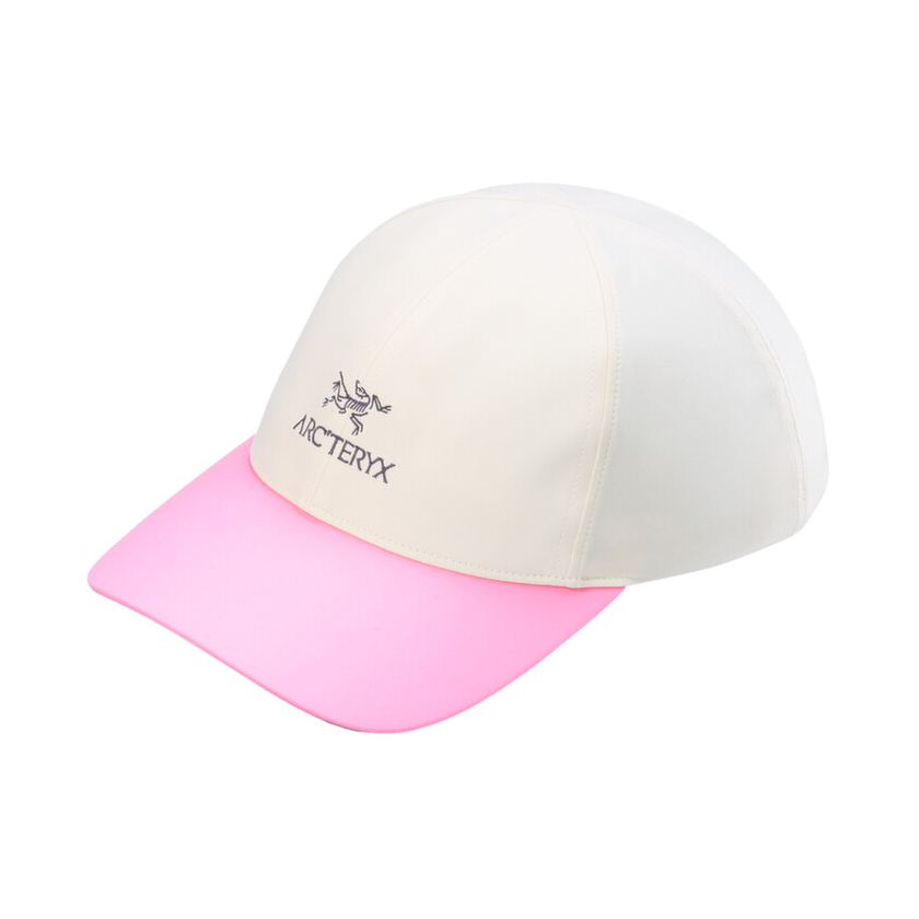 Arc'teryx Bird Word sapka