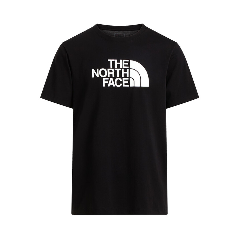 The North Face EVOLUTION HALF DOME REGULAR SHORT SLEEVE TEE férfi póló