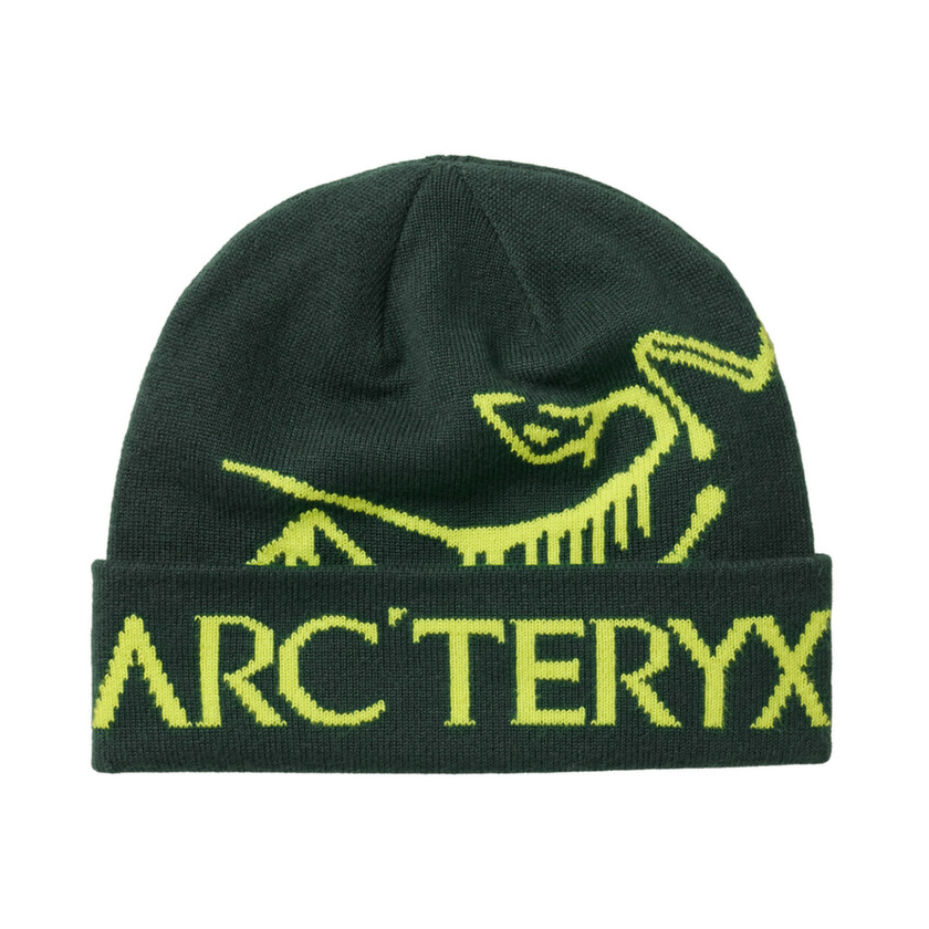 Arcteryx Bird Word Toque sapka