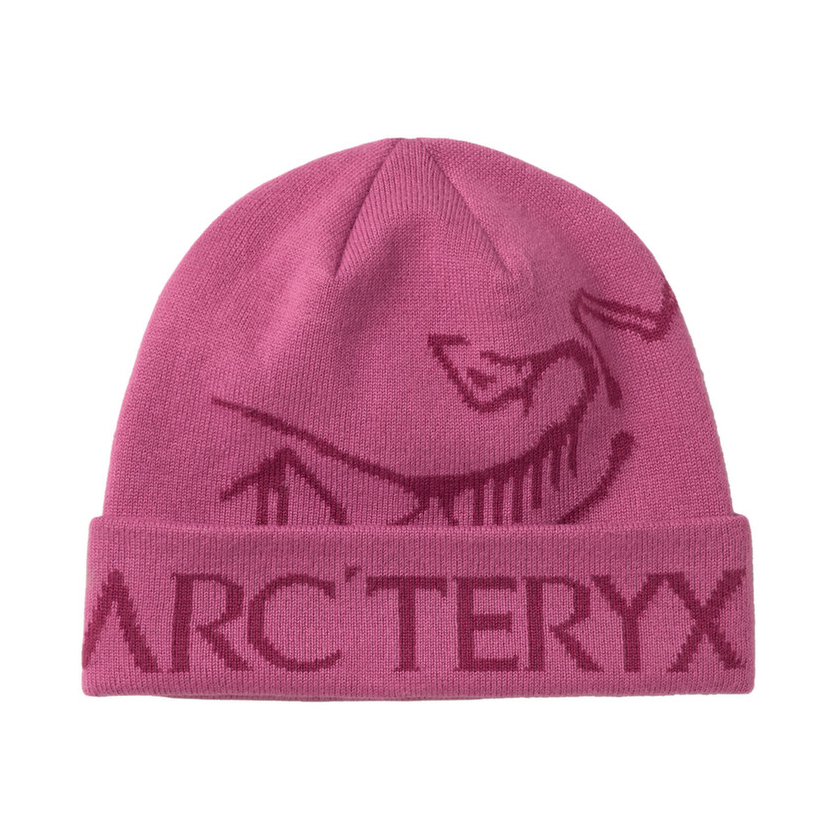 Arcteryx Bird Word Toque sapka